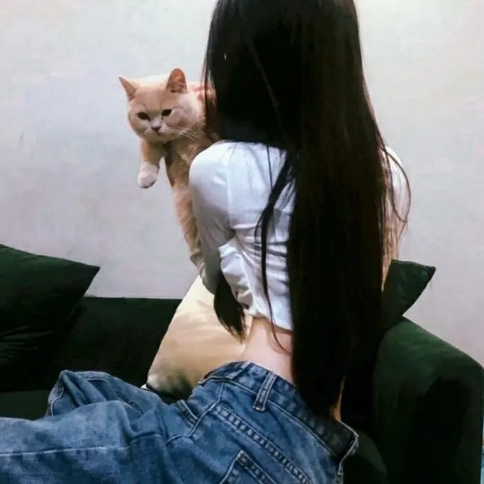 风骚律师第一季